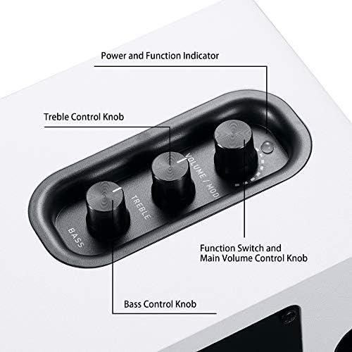 Unlocking Sonic Bliss: Our Journey with SW208 Speakers