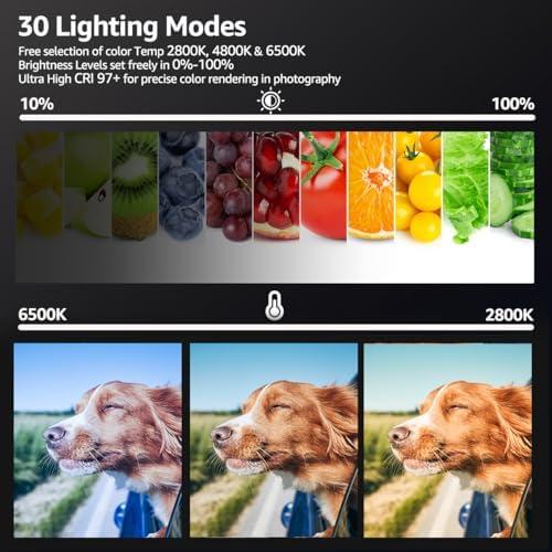 Illuminate Our Creativity: Unboxing the NiceVeedi Light Kit