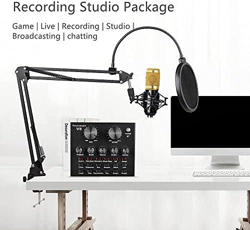Unleashing our Creativity: A Journey with the BM-800 Podcast Kit