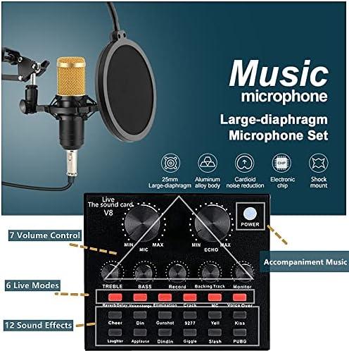 Unleashing Our Creativity: A Journey with the BM-800 Podcast Kit