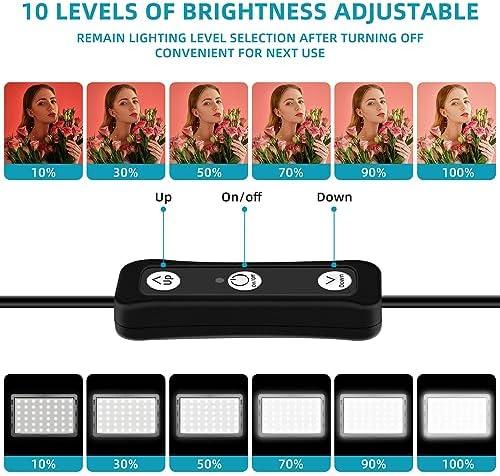 Unleashing Creativity: Our Experience with Hagibis LED Light Kit